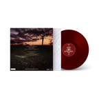 Baby Queen 'I Hope You Don't Remember Me' Store Exclusive Signed Oxblood Red Vinyl back view.