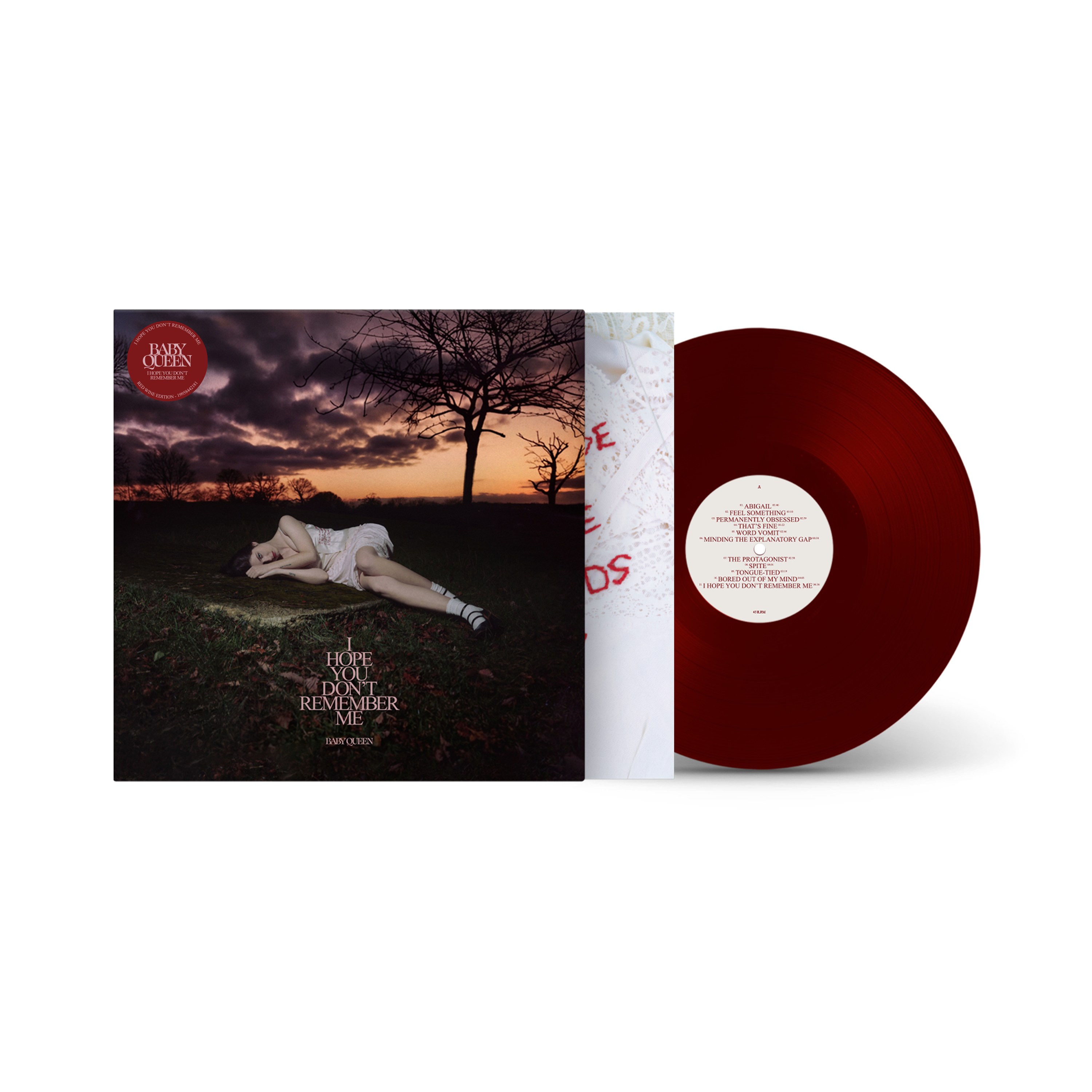 I Hope You Don't Remember Me | Vinyl Bundle
