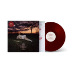 I Hope You Don't Remember Me | Music Bundle