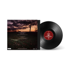 Baby Queen 'I Hope You Don't Remember Me' standard vinyl cover.