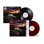 Baby QueenI  Hope You Don't Remember Me Vinyl Bundle image